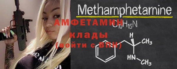 шишки Елизово