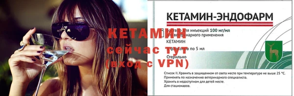 шишки Елизово