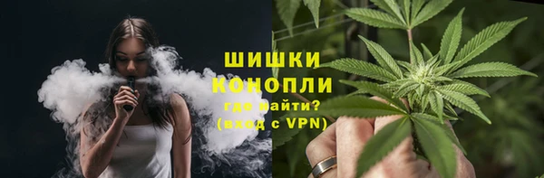 шишки Елизово