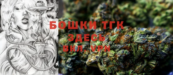 тгк Гусиноозёрск