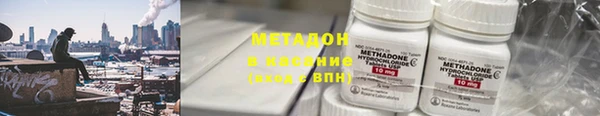 прущие грибы Гусев