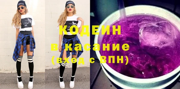 шишки Елизово