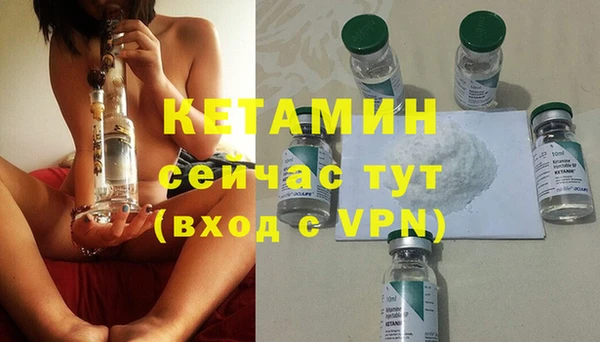 шишки Елизово