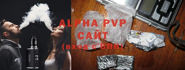 шишки Елизово